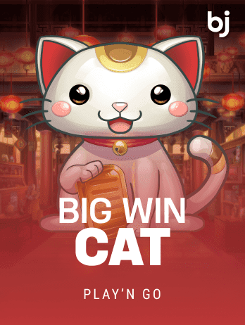 Big Win Cat